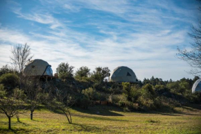 GLAMPING TICA NATIVO